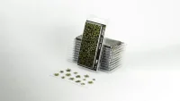 Laser Plants - Dumb Cane