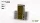 Tiny Dry Green