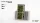 Strong Green 6mm - Wild