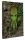 Cthulhu: Die Kulte des Cthulhu (Hardcover)