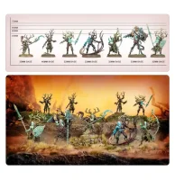 Sylvaneth: The Twisted Branch Regiment of Renown