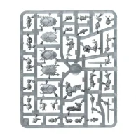 Cities of Sigmar: Freeguild Gallants